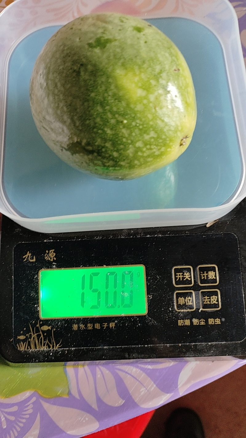 福建龙岩上杭钦蜜九号百香果