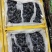 新疆双河市夏黑蓝莓葡萄