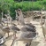 73天阳江鹅，9.23斤，1200只，桂林