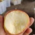 山东鲁丽苹果2万斤