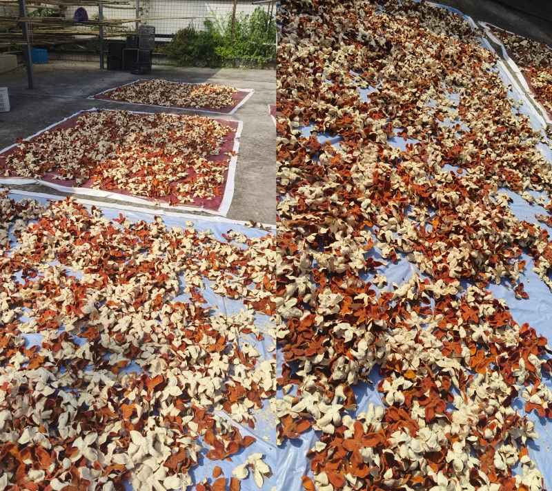 川陈皮精品推荐超高性价比选择全程保质保量