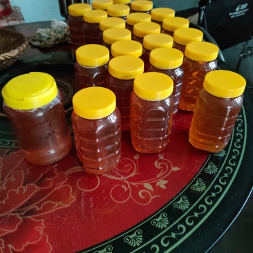 湖北自家的土蜂蜜