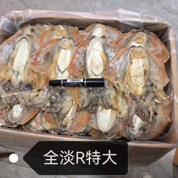 浙江本港全淡干特大墨鱼干。产地直销一手货源。
