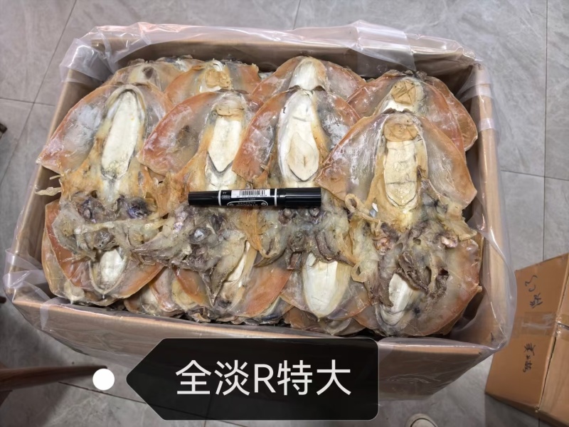 浙江本港全淡干特大墨鱼干。产地直销一手货源。
