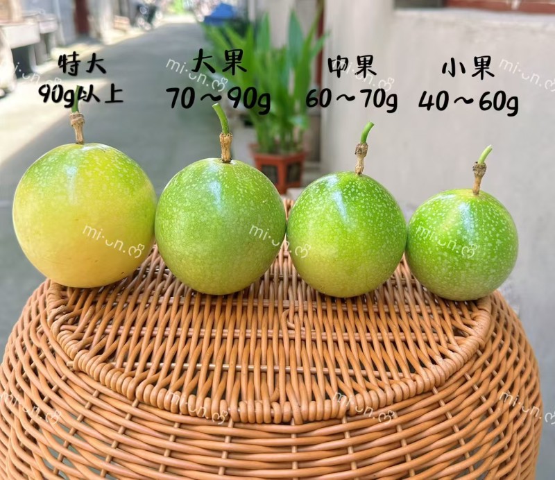 钦蜜九号黄金百香果