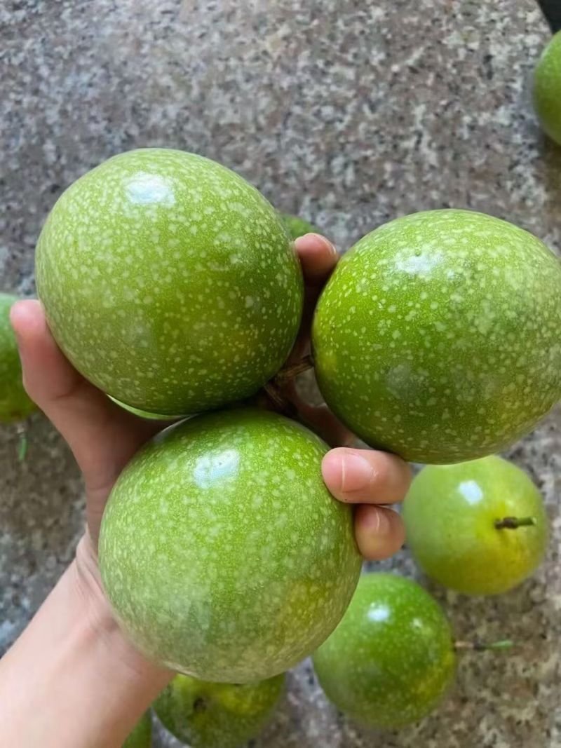 钦蜜九号黄金百香果