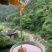 深山土蜂蜜
