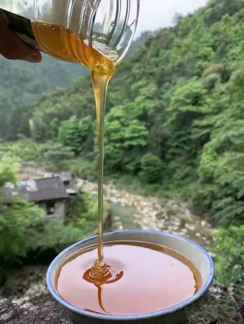深山土蜂蜜