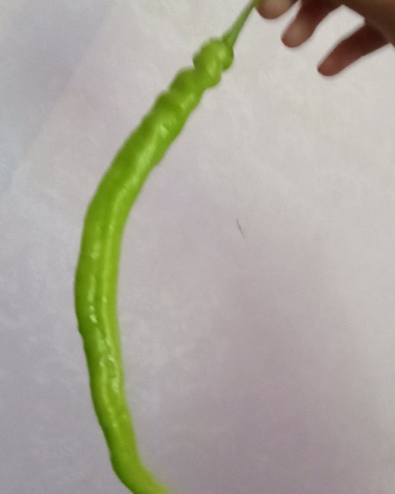 大方鸡爪辣椒生辣椒