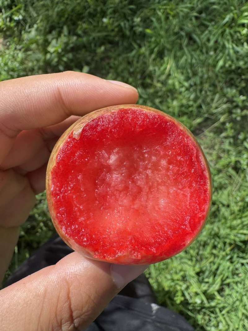 空运，一件代发，新疆恐龙蛋皮薄肉厚