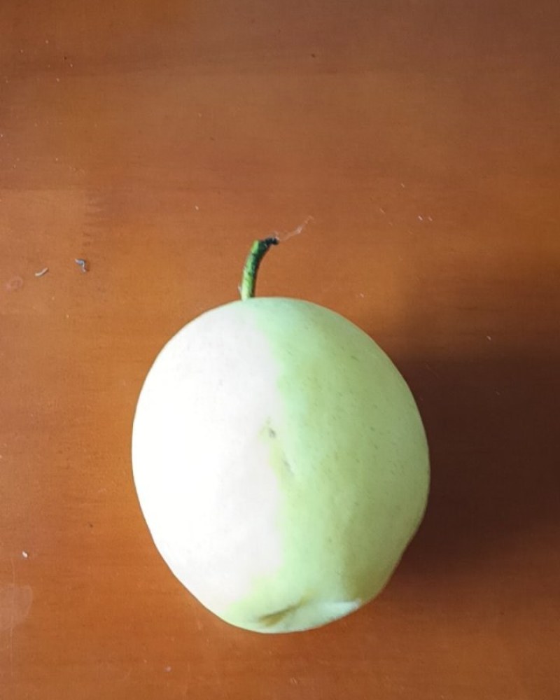 砀山梨
