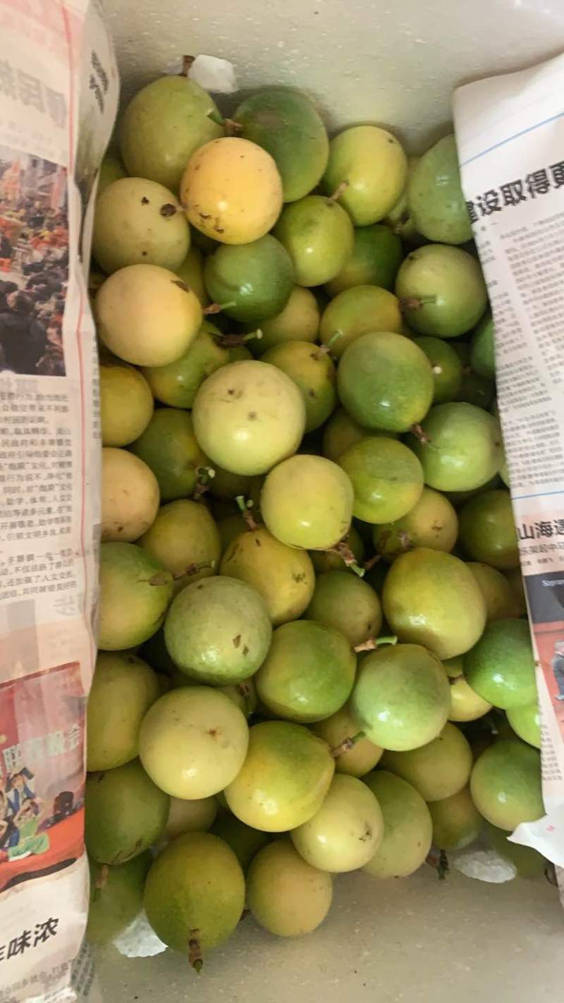 统货70-100有现货