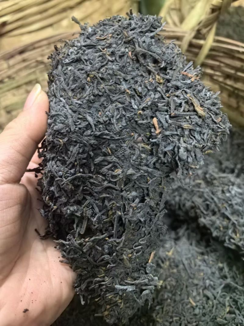 梧州六堡茶批发，零售！熟茶大箩茶～各种年份各种口号！