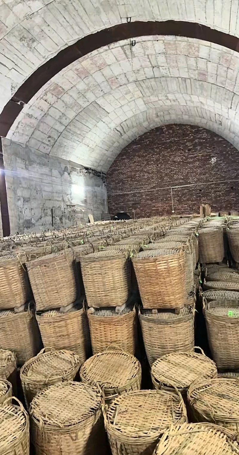 梧州六堡茶批发，零售！熟茶大箩茶～各种年份各种口号！