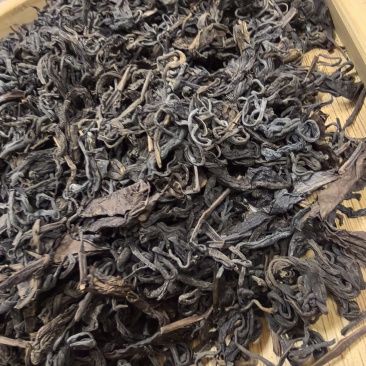 梧州六堡茶批发，零售！熟茶大箩茶～各种年份各种口号！