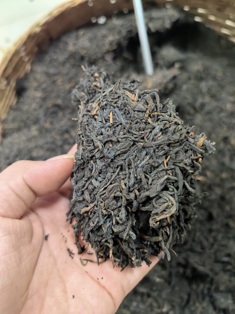 梧州六堡茶批发，零售！熟茶大箩茶～各种年份各种口号！