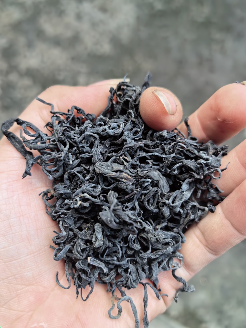 梧州六堡茶批发，零售！熟茶大箩茶～各种年份各种口号！