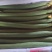 中绿精品丝瓜