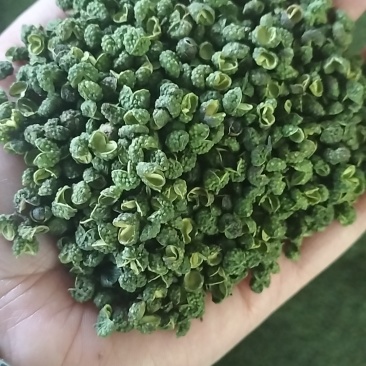 贵州青花椒