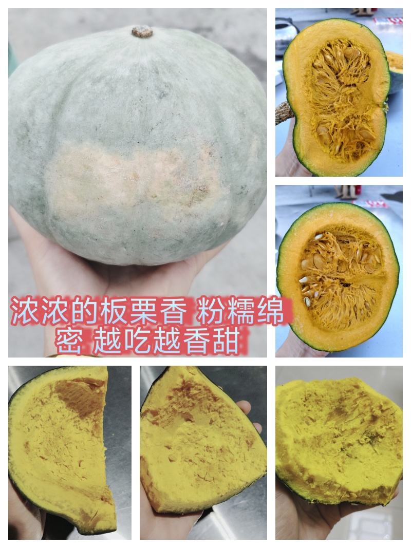 南瓜
