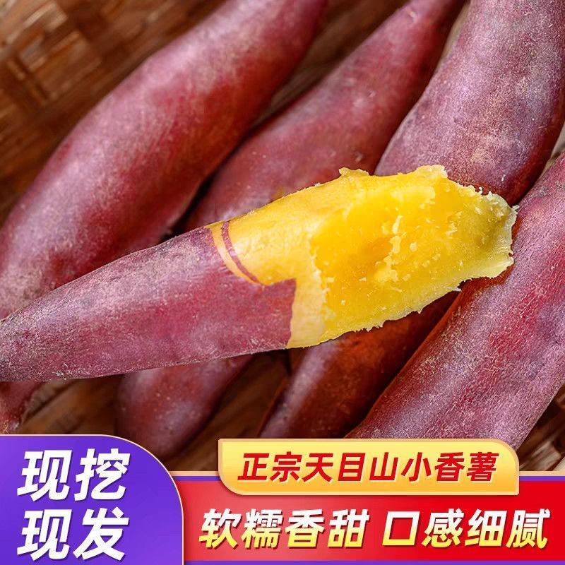 天幕小香薯