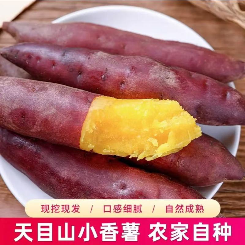 天幕小香薯
