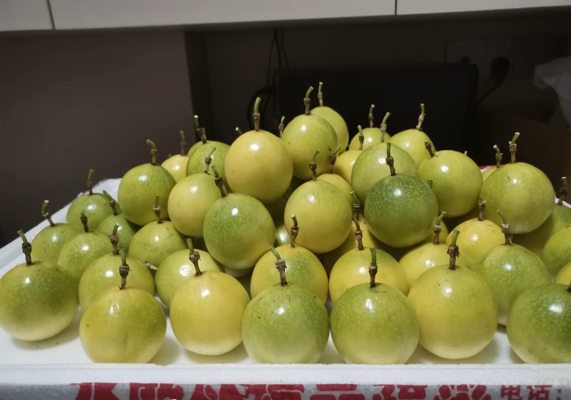 百香果
