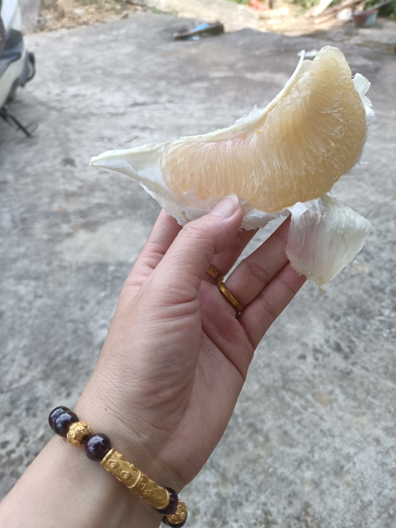 福建省平和县蜜柚