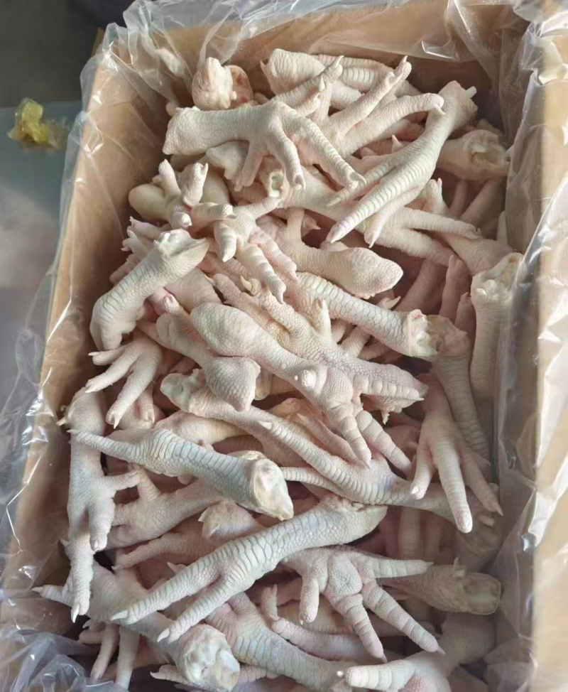 40-50单冻鸡爪