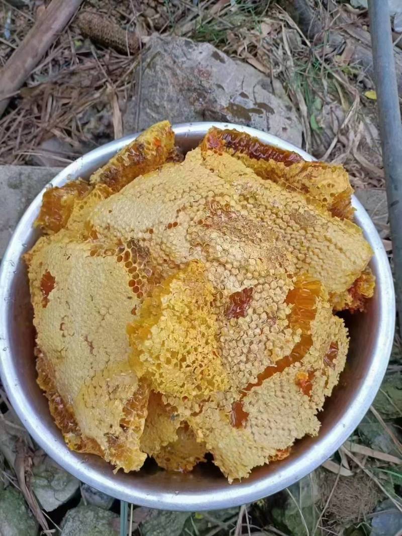 高山野生蜂蜜