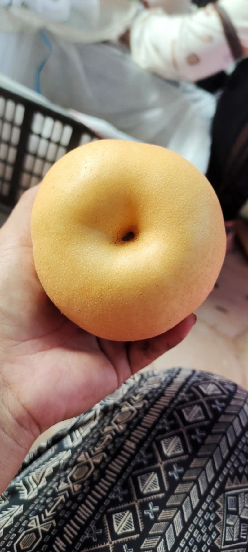 丰水梨