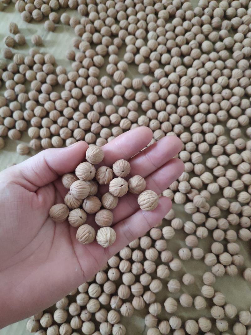 文玩小核桃