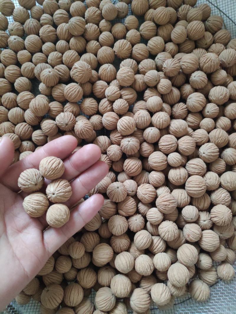 文玩小核桃