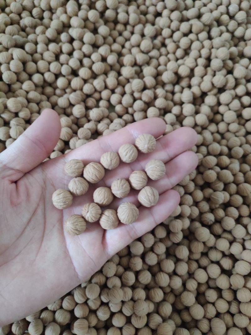文玩小核桃