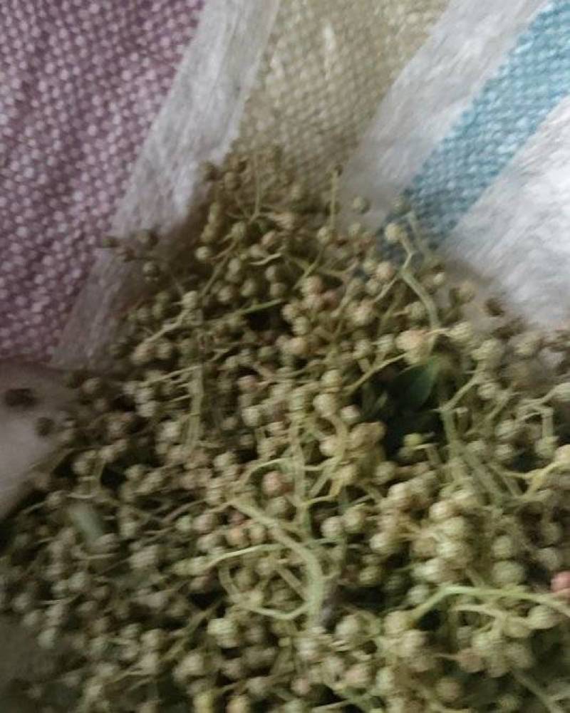 鲜花椒