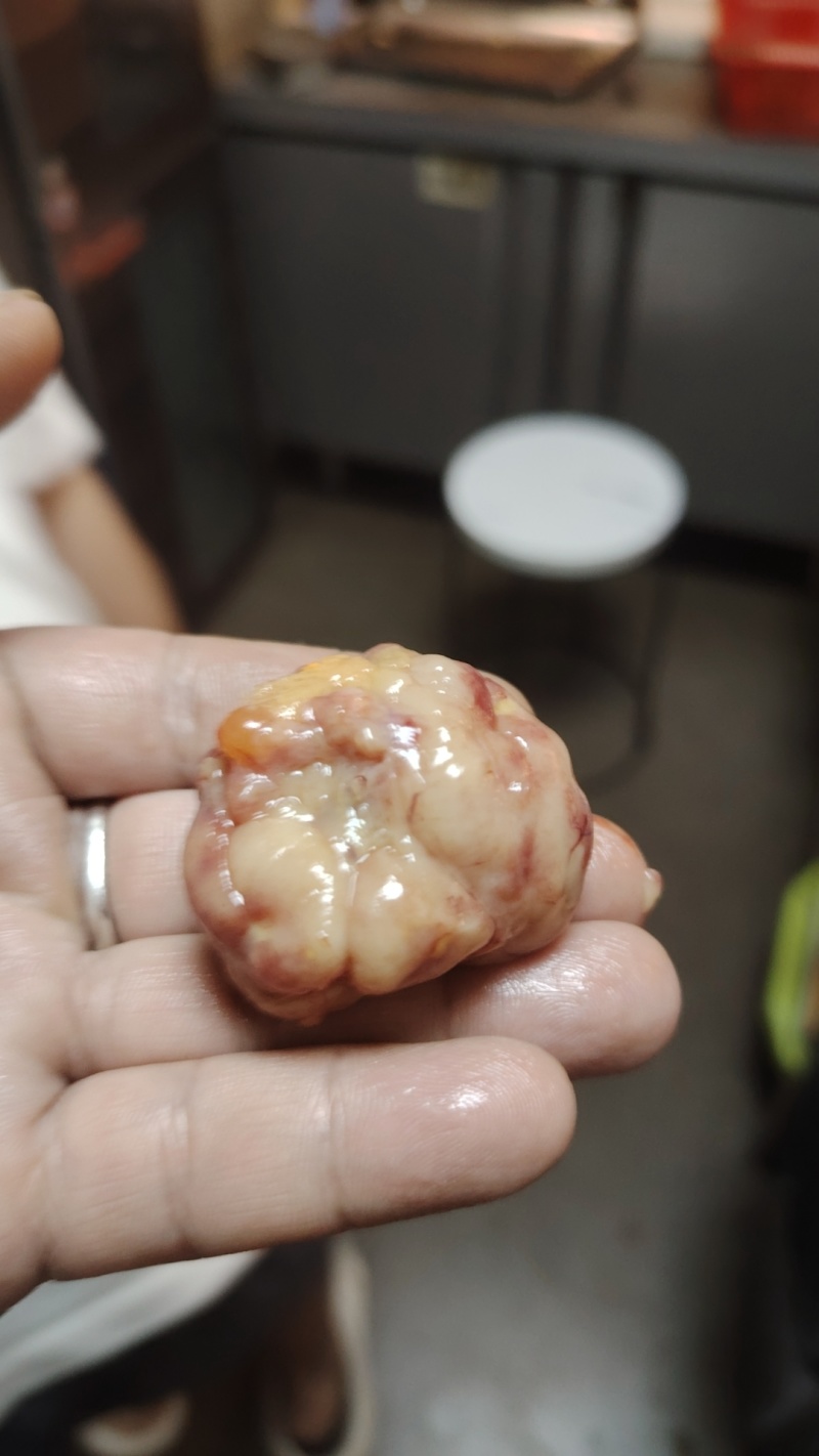 鸡宝