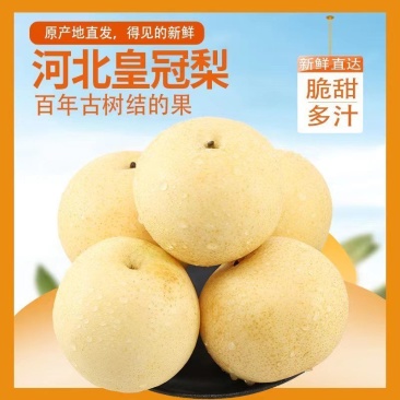 河北省邯郸市魏县皇冠梨