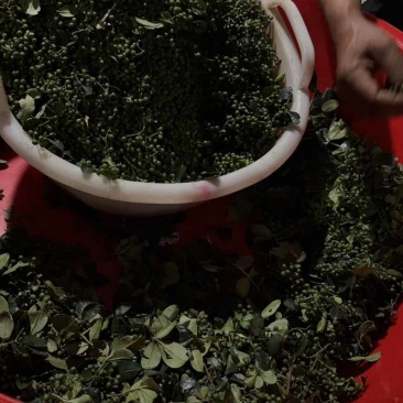 干花椒，鲜活花椒