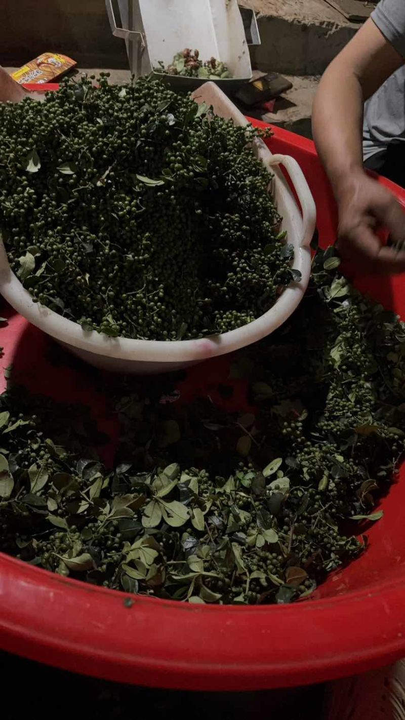 干花椒，鲜活花椒