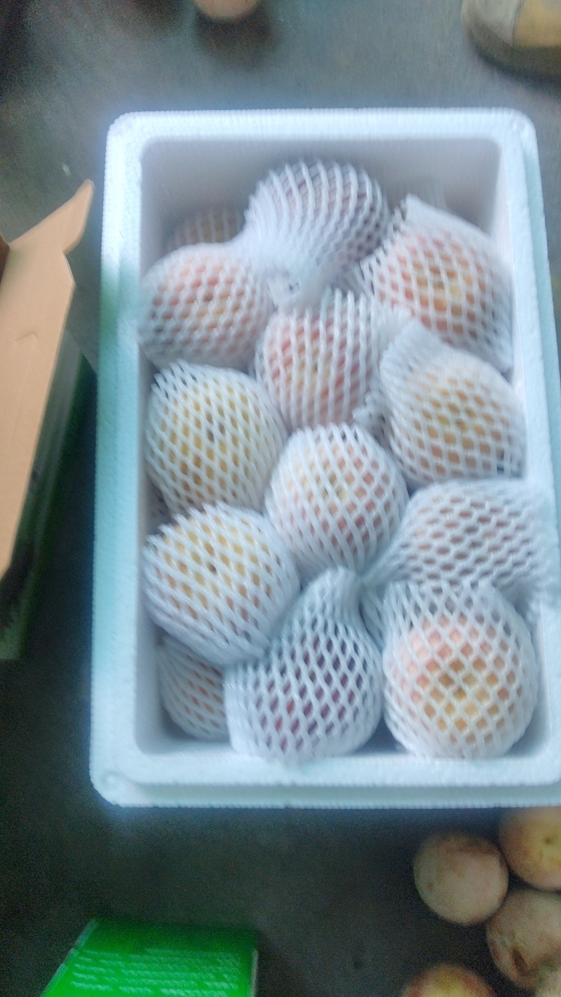 嵊州杏李（恐龙蛋）