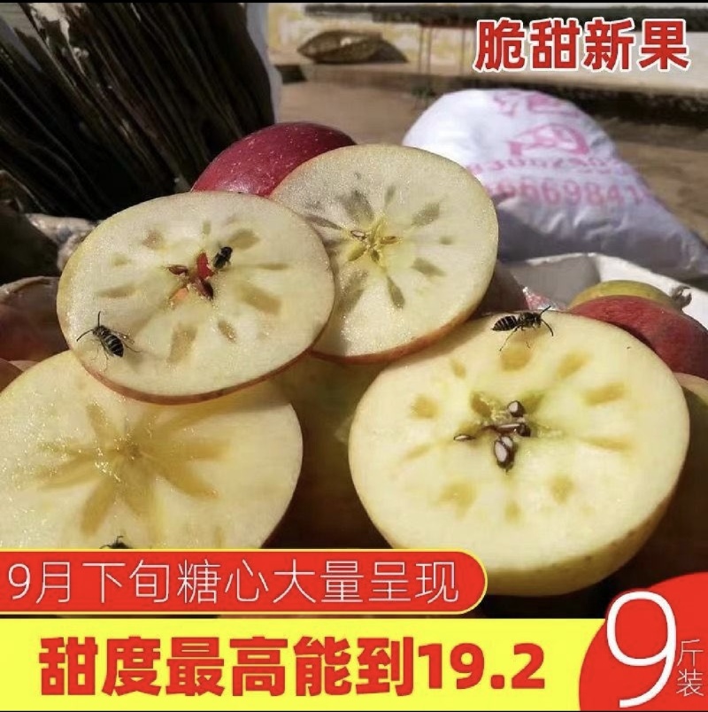 盐源丑苹果糖心富士