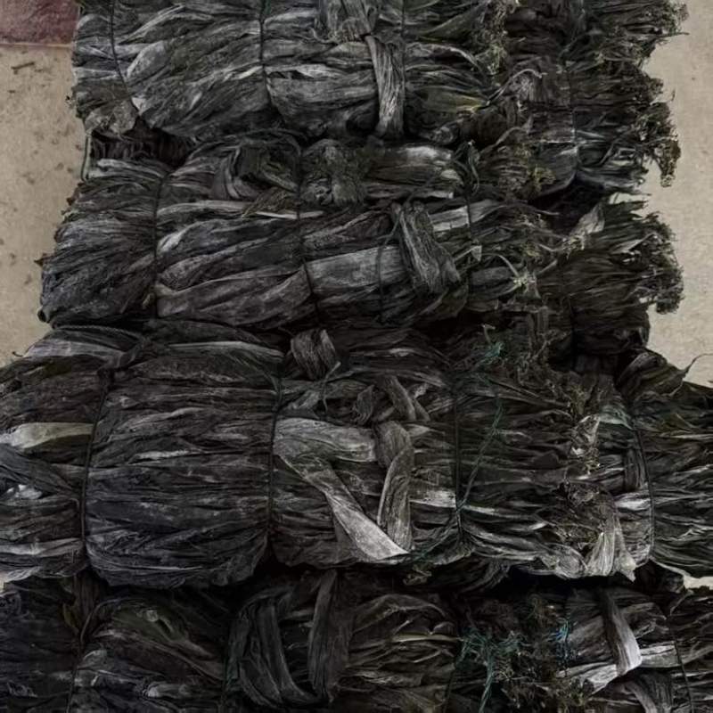 福建霞浦特产挂晒无沙厚实海带干货火锅海带头凉拌菜食材商用批发