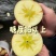 昭通苹果