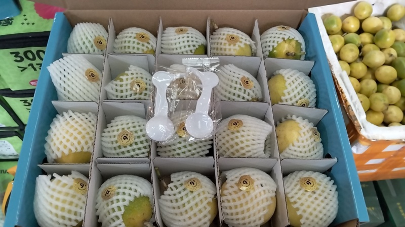 海南百香果