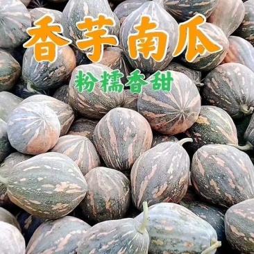 香芋南瓜