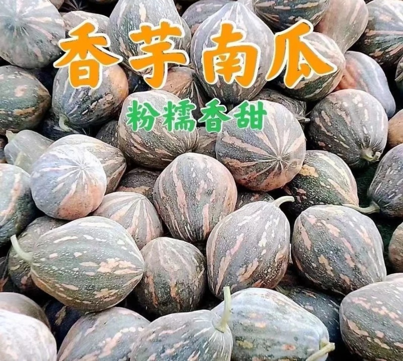 香芋南瓜