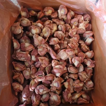 肉食鸡胗