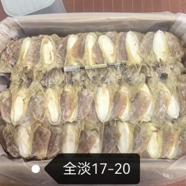 浙江全淡干墨鱼一斤17-20。产地直销一手货源