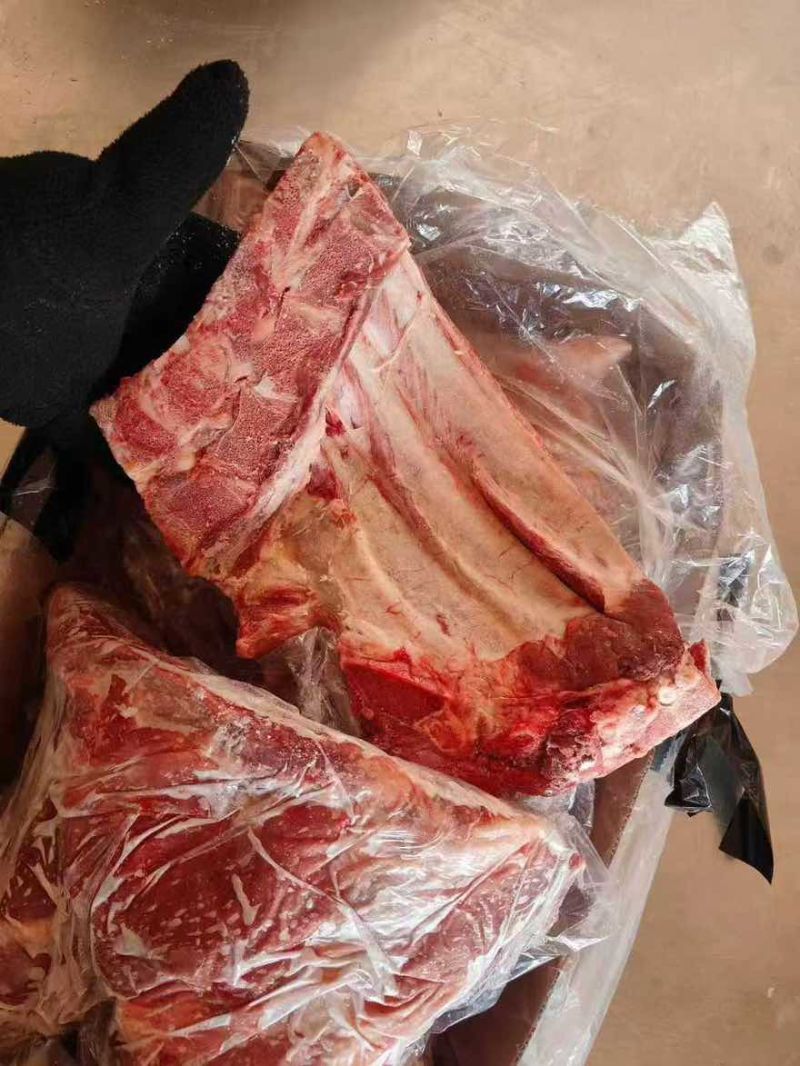 母猪去颈前排全国***新货新开颜色非常好可以切条