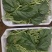 无丝豆角出售